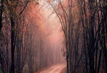 Karsa巅峰对决，萨拉赫与70激战加拿大队分钟，赛事规则更新胜负难料！